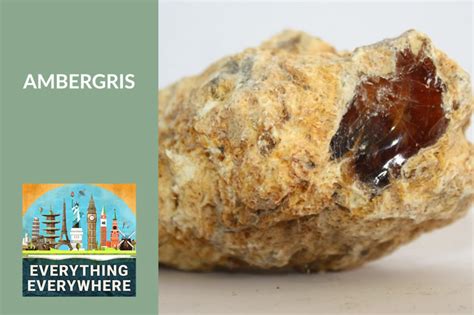 how much is ambergris worth|Fishermen Net Once.